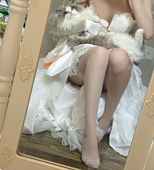 肯定