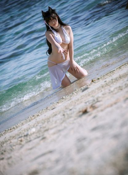 完美世界免费樱花动漫