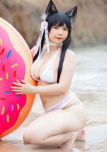 今天也很可爱的狗