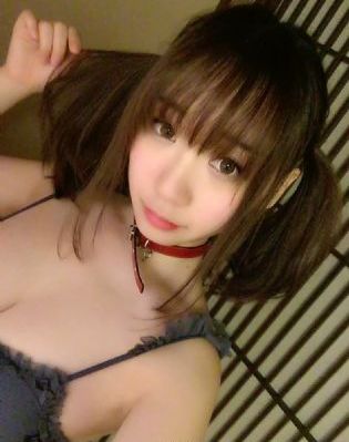 旧番剧