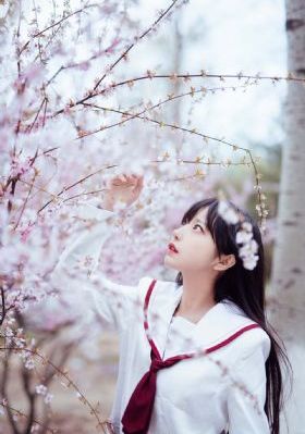 丛林血战